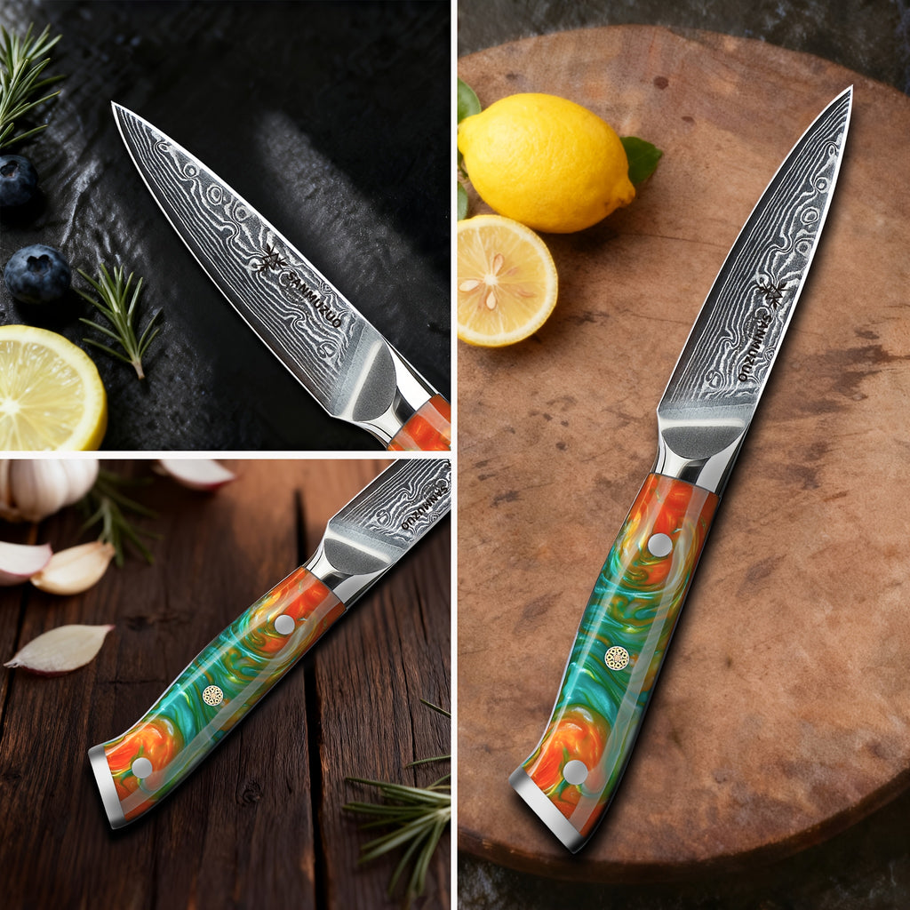Damascus Steel Paring Knife - Xuan Series - Resin Handle - Kitchen Knife - Christmas - Kitchen Items - Easy Cutting Of Fruits And Vegetables - Super Sharp - High-quality